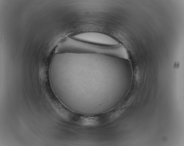 X0000090920359200707301538