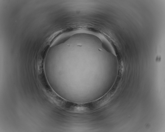 X0000090920360200707301538