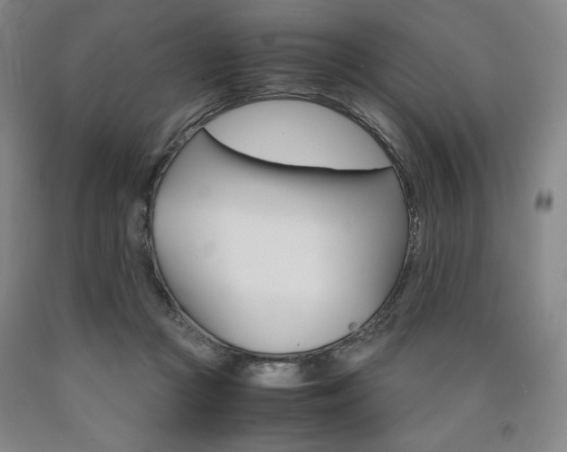 X0000090920361200707301538