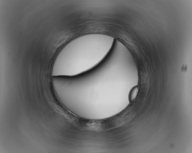 X0000090920362200707301538