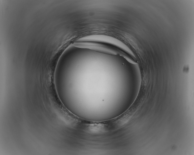 X0000090920363200707301538