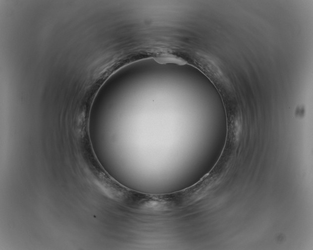 X0000090920364200707301538