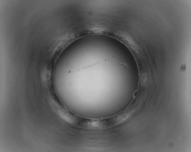 X0000090920365200707301538