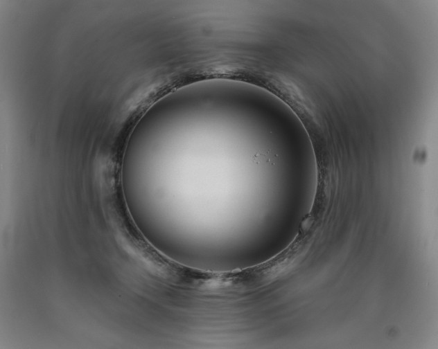 X0000090920366200707301538