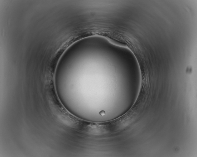 X0000090920367200707301538