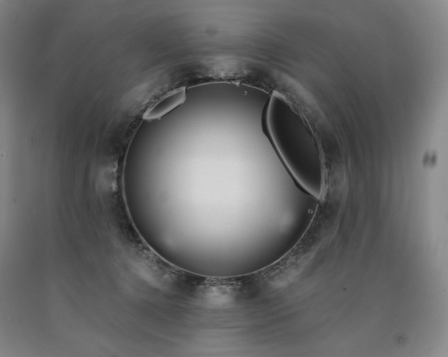 X0000090920368200707301538