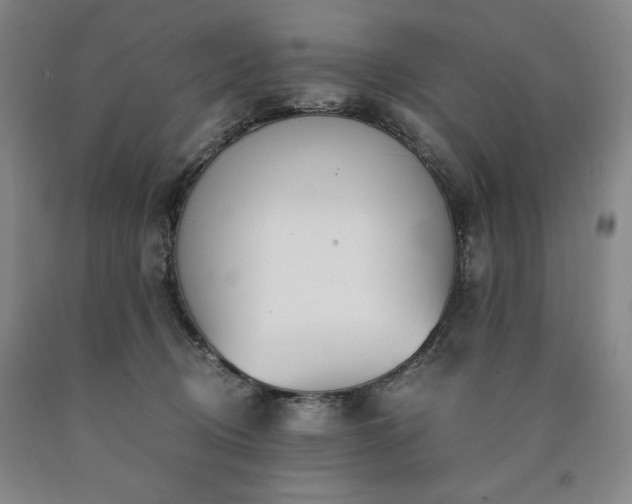 X0000090920370200707301538
