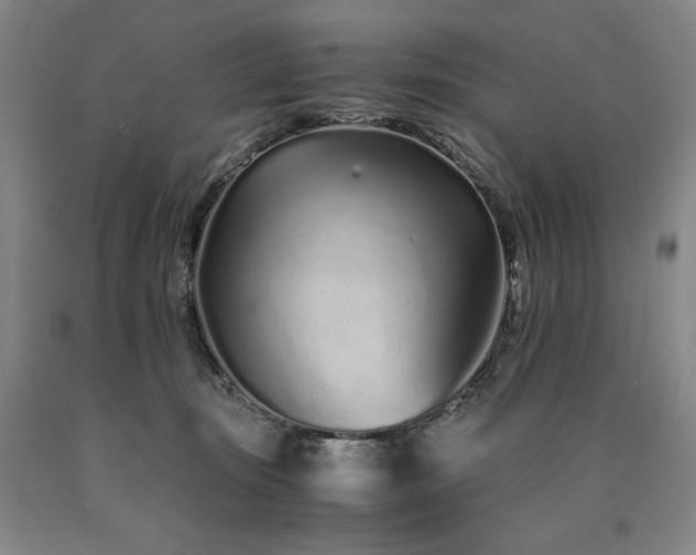 X0000090920371200707301538