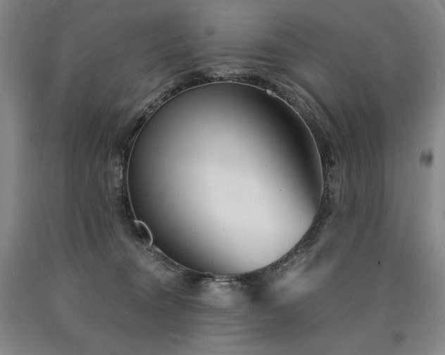 X0000090920372200707301538