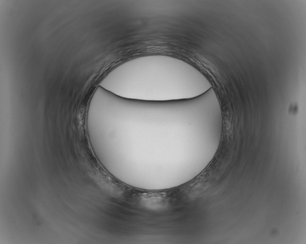 X0000090920373200707301538