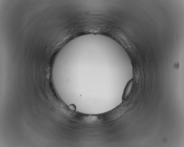 X0000090920374200707301538