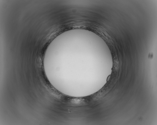 X0000090920375200707301538