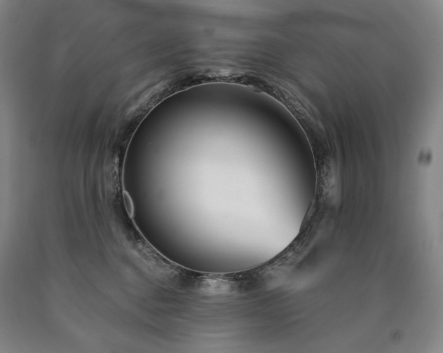 X0000090920376200707301538