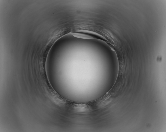 X0000090920377200707301538