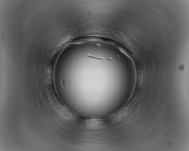 X0000090920378200707301538