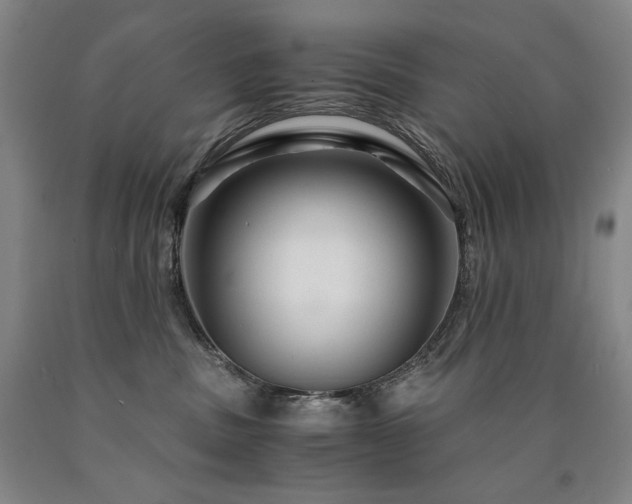 X0000090920379200707301538