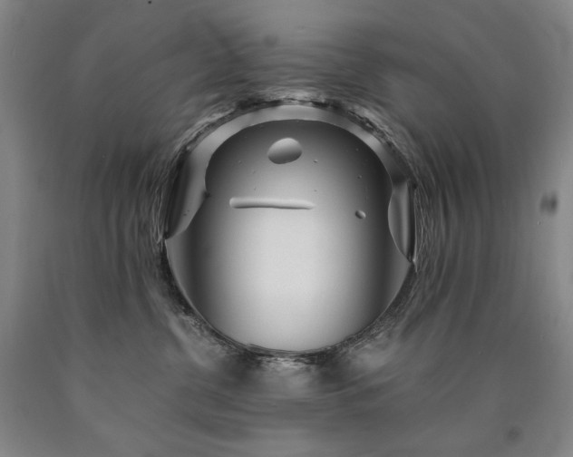 X0000090920380200707301538