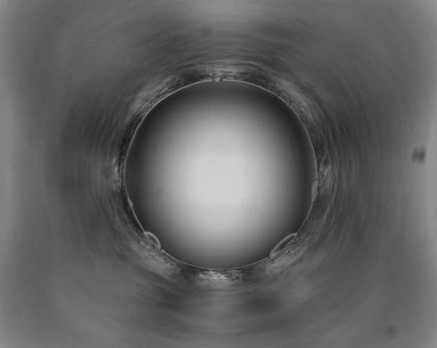 X0000090920381200707301538