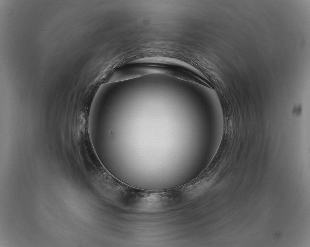 X0000090920382200707301538