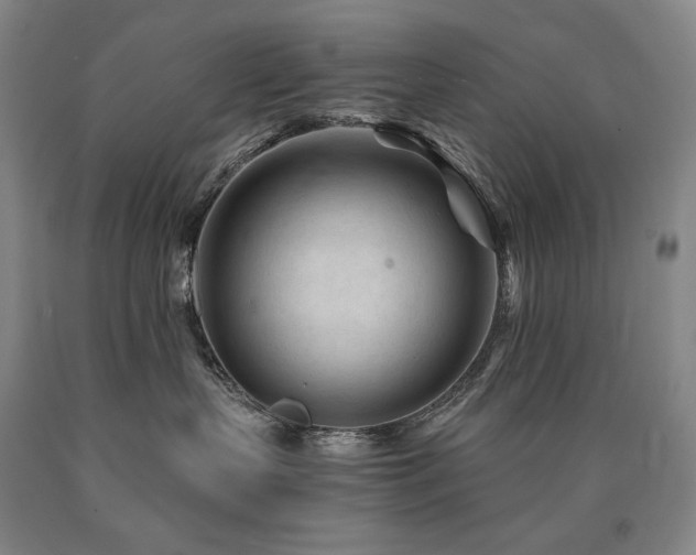 X0000090920383200707301538