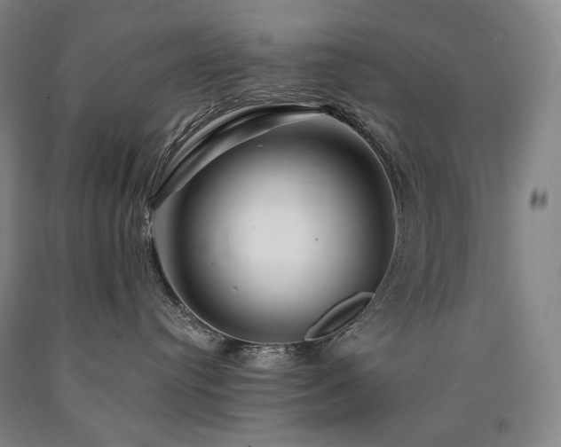 X0000090920384200707301538