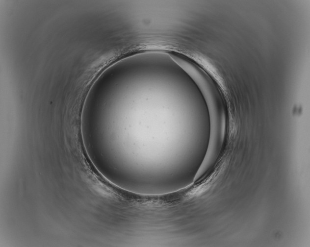X0000090920385200707301537