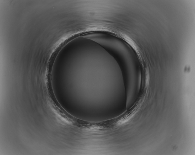 X0000090920387200707301537