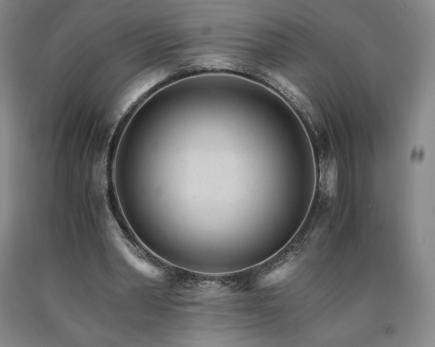 X0000090920390200707301537