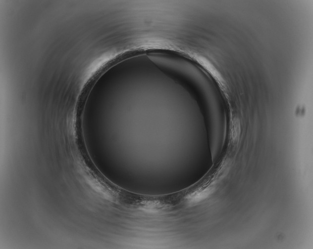 X0000090920391200707301537