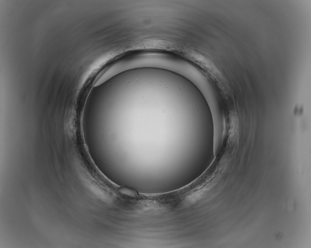 X0000090920392200707301537