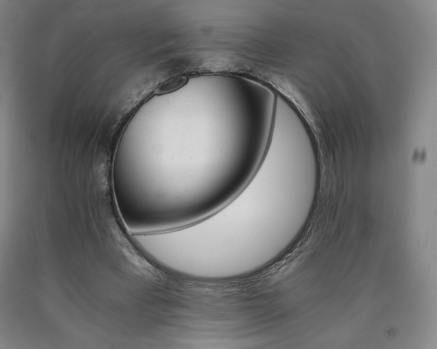 X0000090920393200707301537