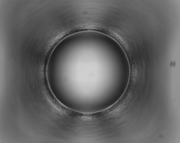 X0000090920394200707301537