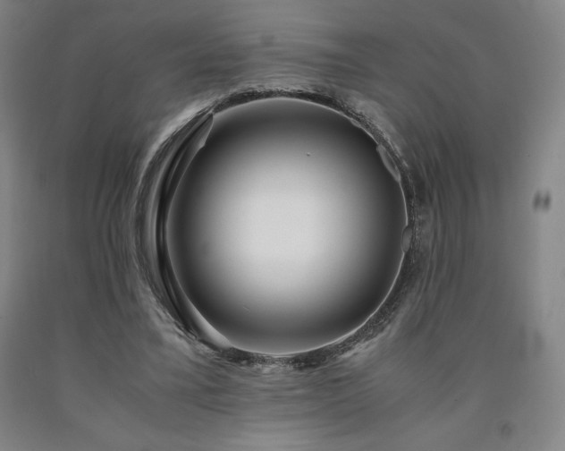 X0000090920395200707301537