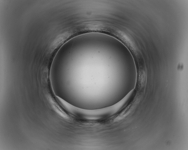 X0000090920397200707301537