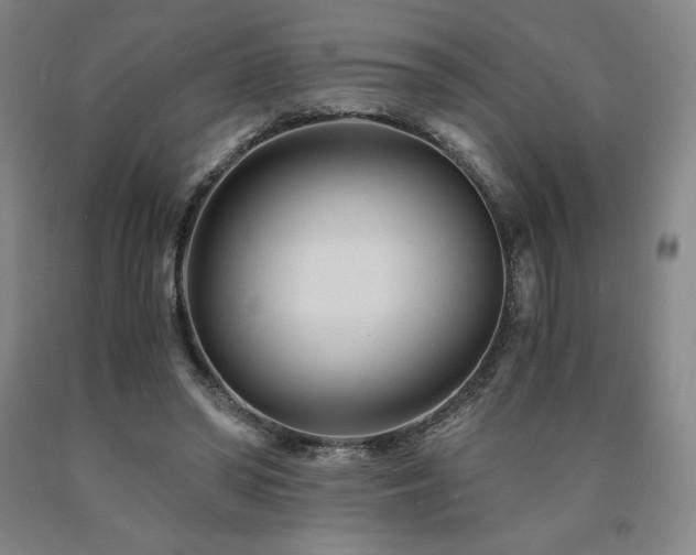X0000090920398200707301537