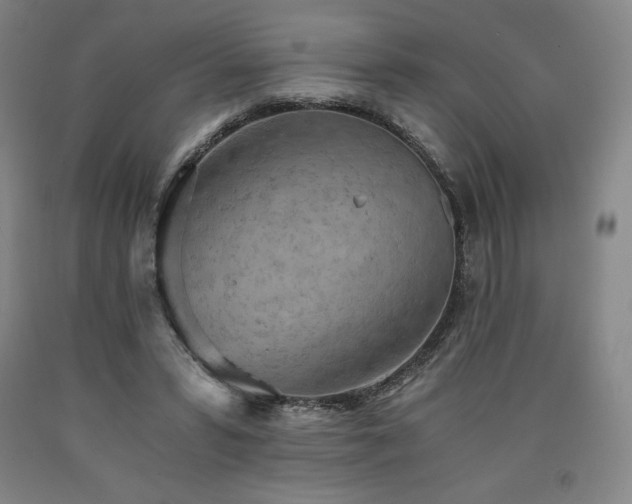 X0000090920399200707301537