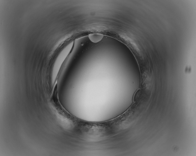 X0000090920400200707301537