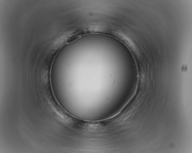 X0000090920401200707301537
