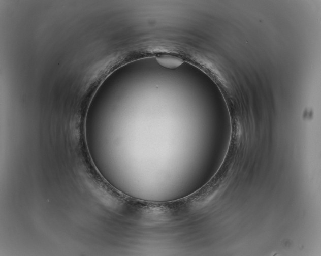 X0000090920402200707301537
