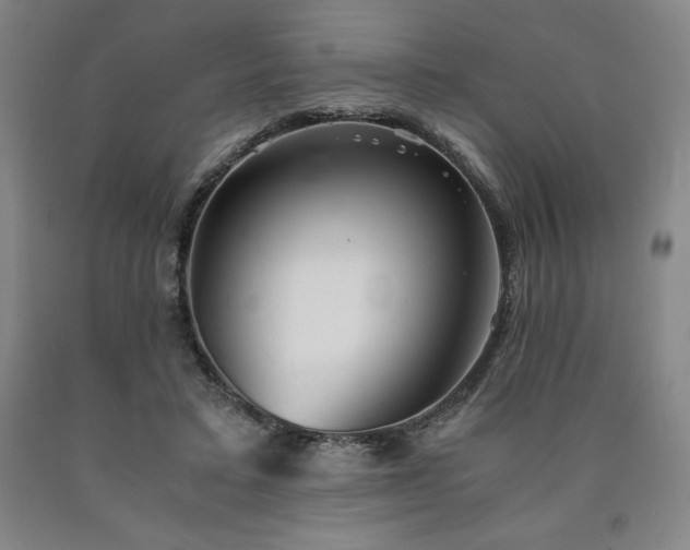 X0000090920403200707301537