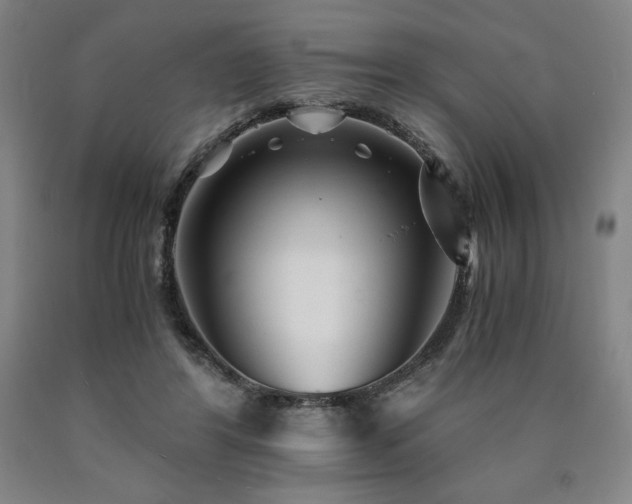 X0000090920404200707301537