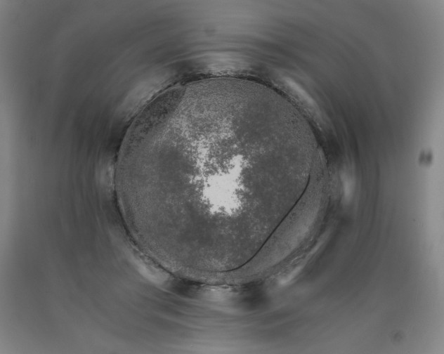 X0000090920405200707301537