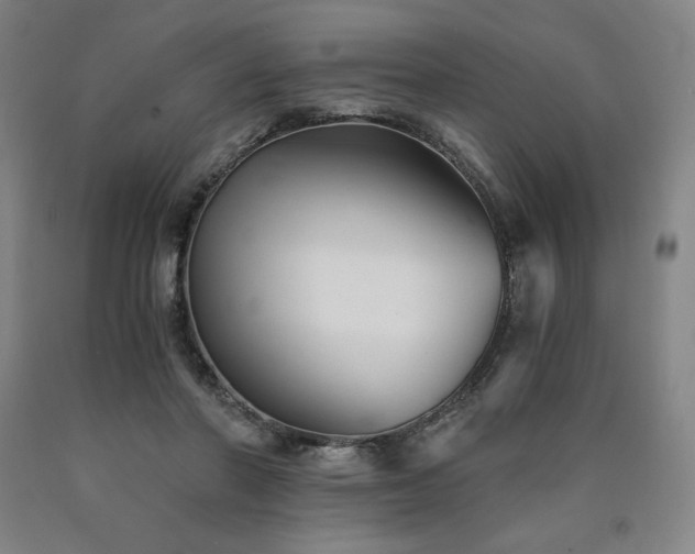 X0000090920406200707301537