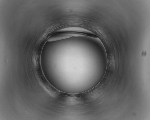 X0000090920408200707301537