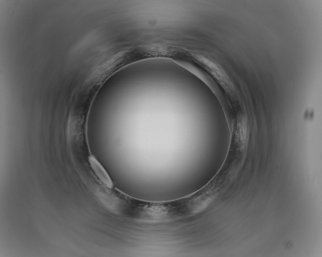 X0000090920409200707301537
