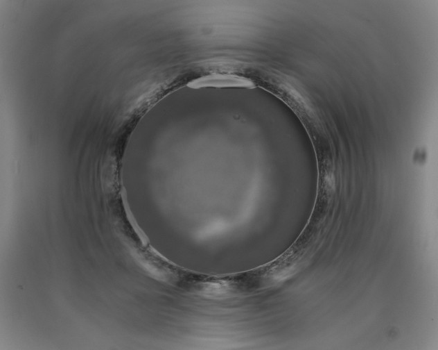 X0000090920411200707301537