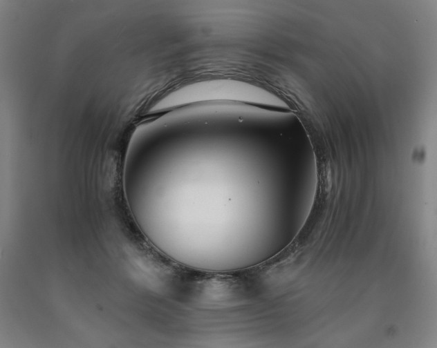 X0000090920412200707301537