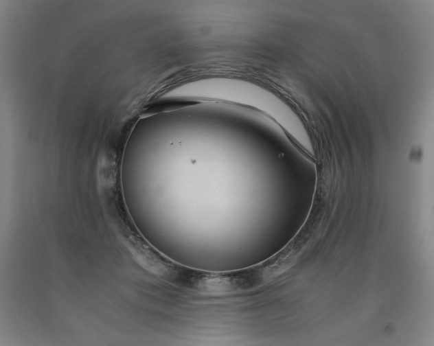 X0000090920413200707301537