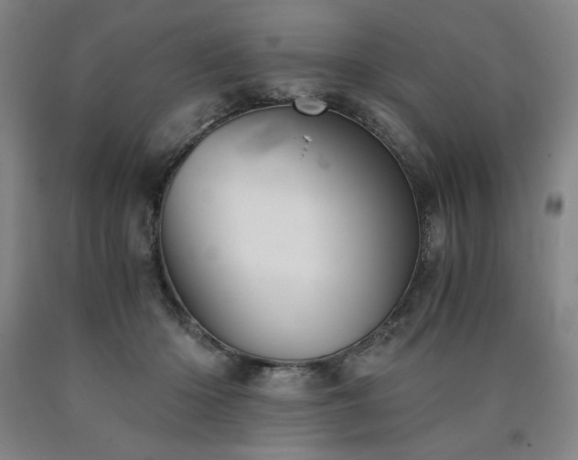 X0000090920414200707301537
