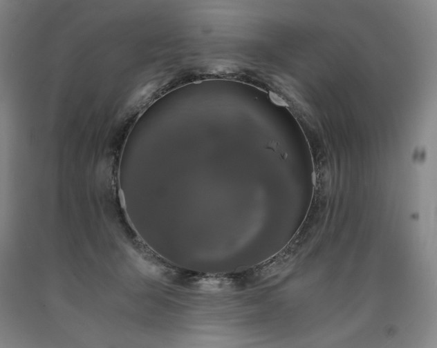 X0000090920415200707301537